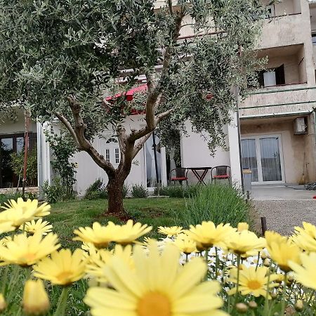 Leona Apartment Vidikovac, PUY 외부 사진