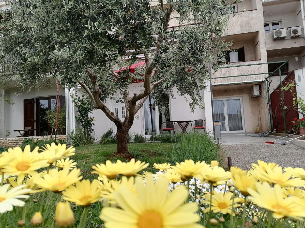 Leona Apartment Vidikovac, PUY 외부 사진