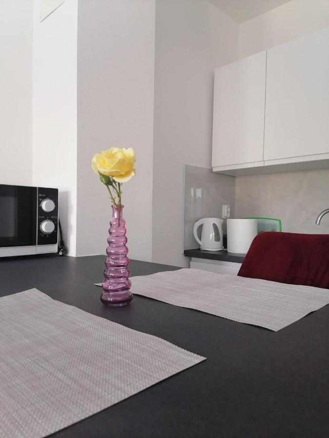 Leona Apartment Vidikovac, PUY 외부 사진