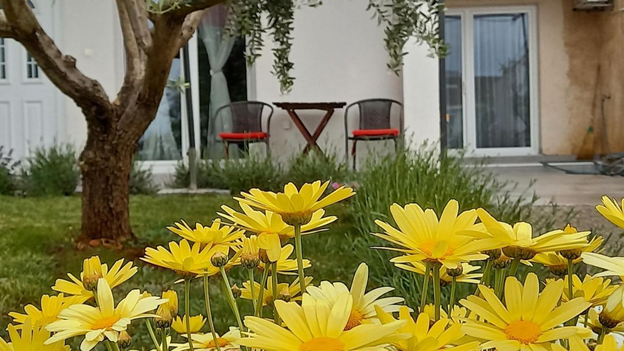 Leona Apartment Vidikovac, PUY 외부 사진